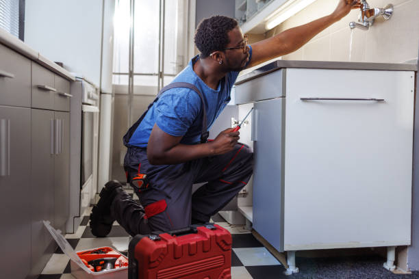 Best Local Plumber Services  in Wellston, OH